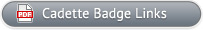 Cadette Badge Links