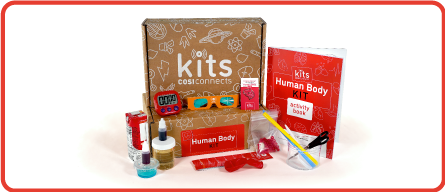 Human Body Kit
