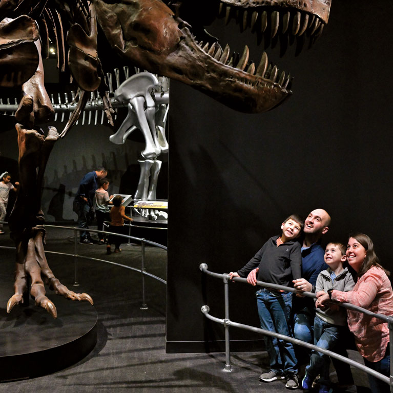 A giant T. rex greets you at the entrance of the Dinosaur Gallery.