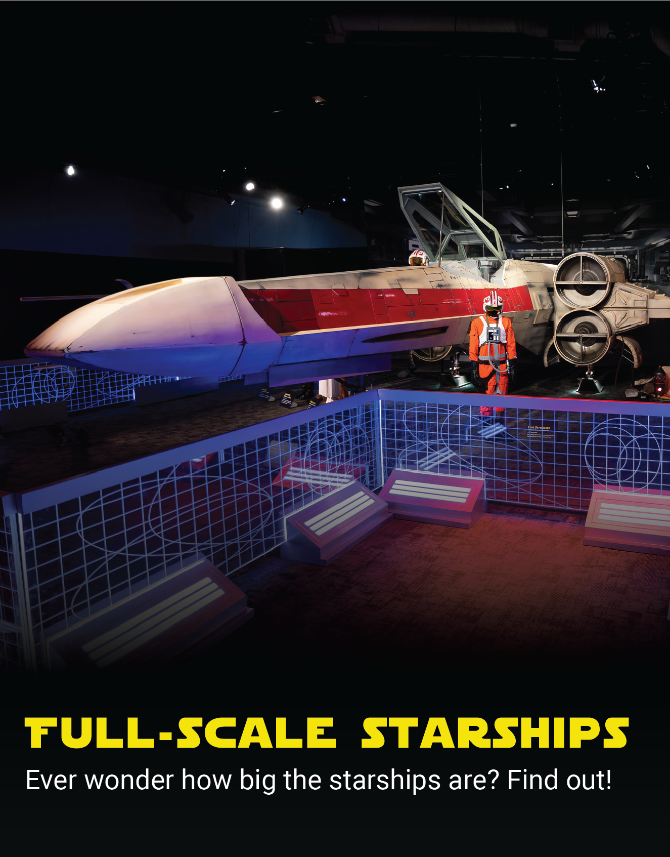 Ever wonder how big the starships are? Find out!