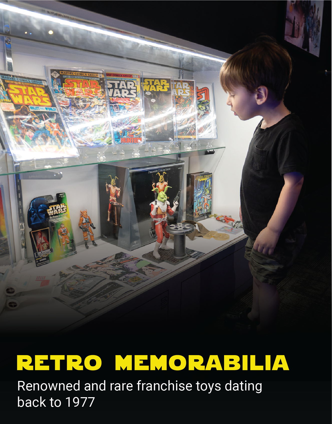 Renowned and rare franchise toys dating back to 1977.