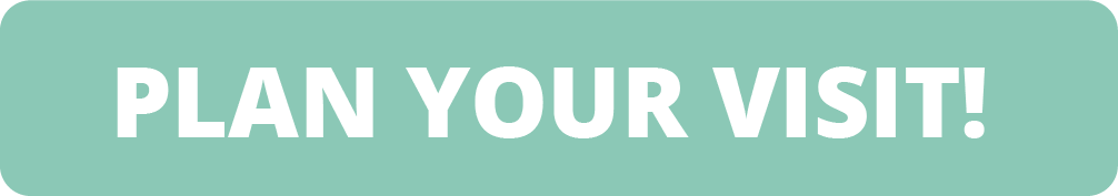 Image of a ticket icon and words saying Plan Your Visit.
