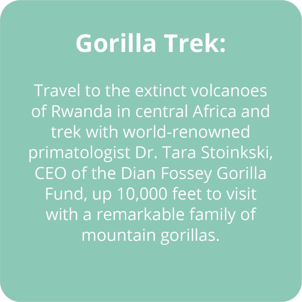Travel to the extinct volcanoes of Rwanda in central Africa and trek with world-renowned primatologist Dr. Tara Stoinkski, CEO of the Dian Fossey Gorilla Fund, up 10,000 feet to visit with a remarkable family of mountain gorillas.