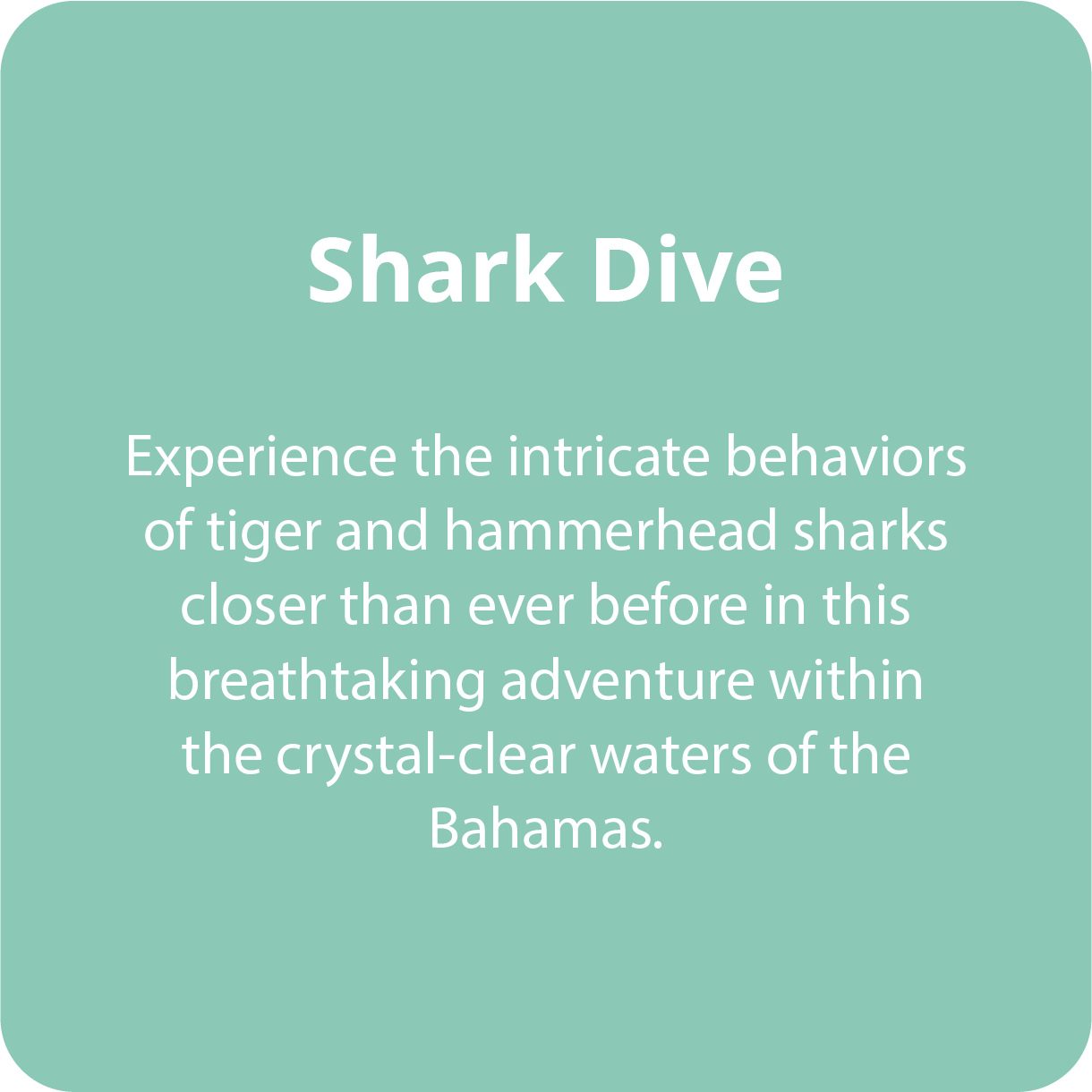 Experience the intricate behaviors of tiger and hammerhead sharks closer than ever before.