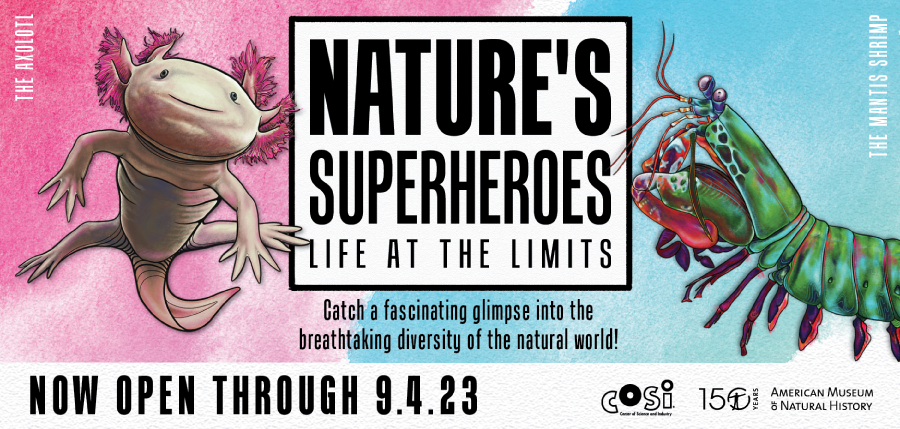 Nature's Superheroes