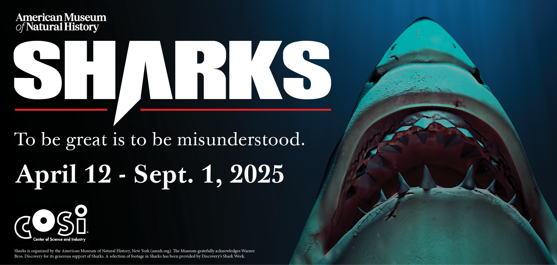 Click here to learn more about the Sharks exhibition