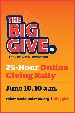 The Big Give