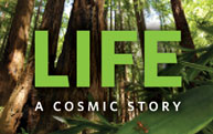Life: A Cosmic Story