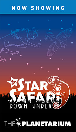 star safari app