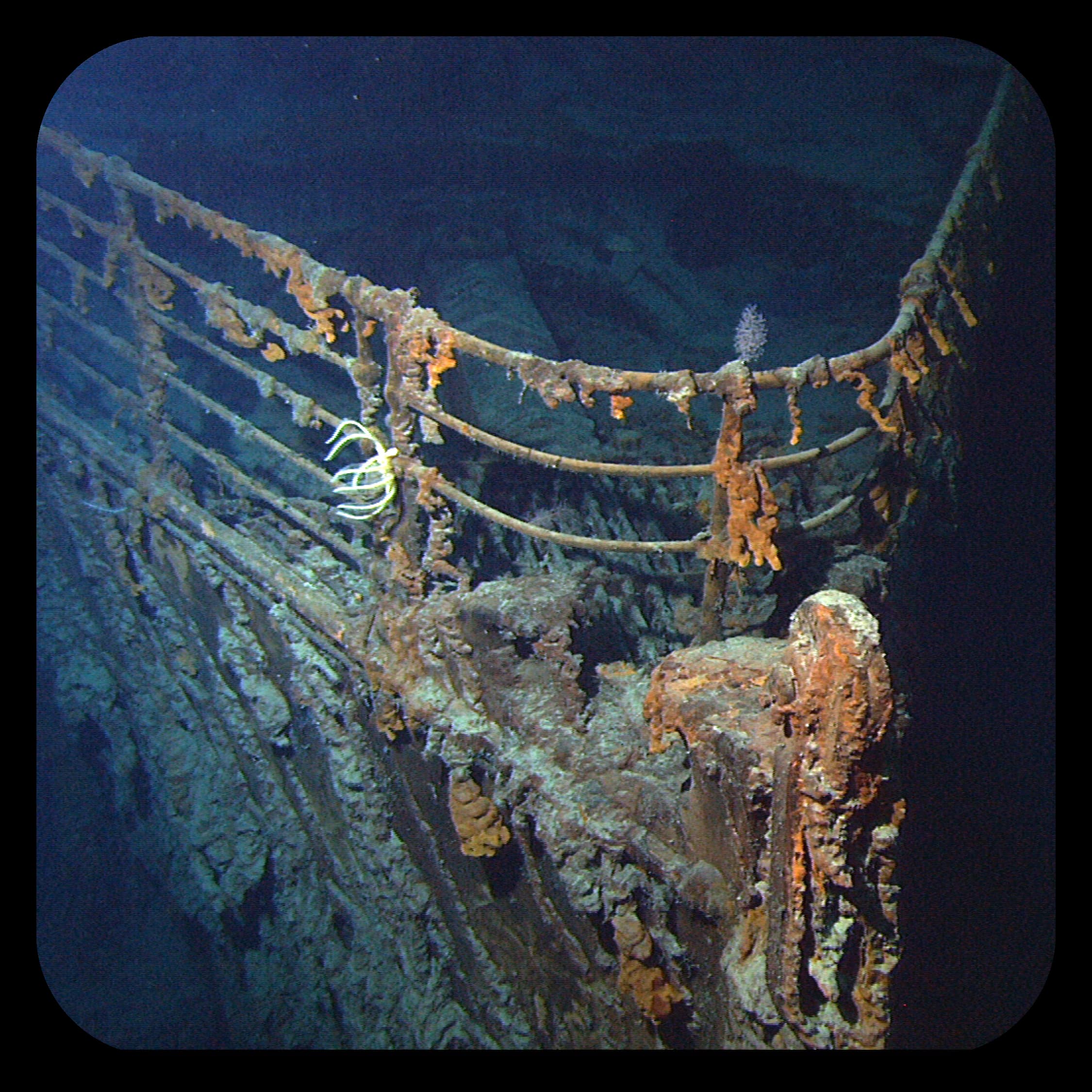 Titanic shipwreck is discovered